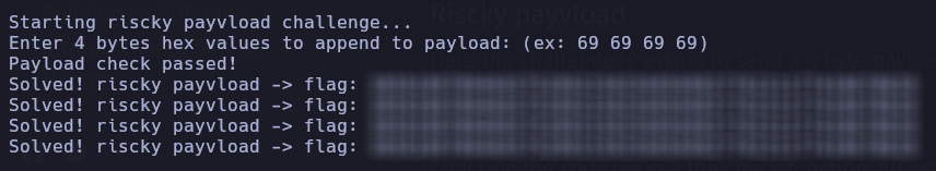 Riscky payvload Flag Function
