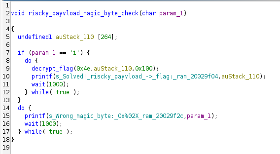 Riscky payvload Flag Function