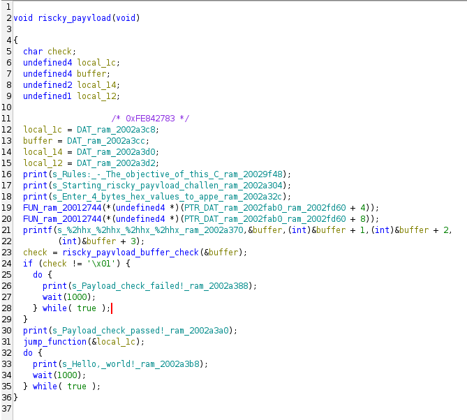 Riscky payvload Function