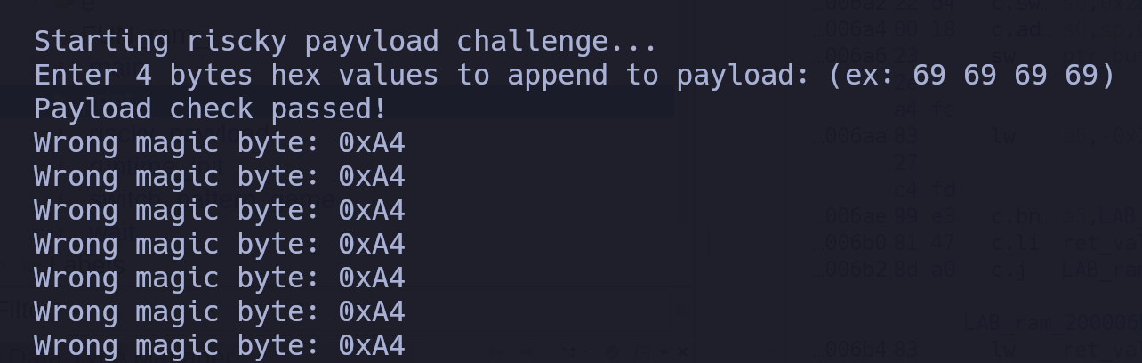 Riscky payvload Check Function